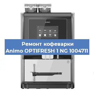 Чистка кофемашины Animo OPTIFRESH 1 NG 1004711 от кофейных масел в Тюмени